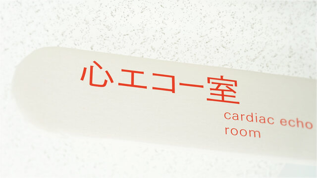 循環器内科で行われる不整脈の主な検査